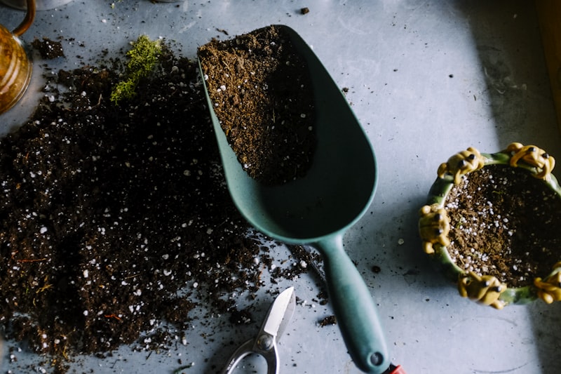 Soil, scoop and secateurs laid out for sowing